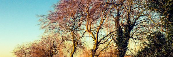 robertmorris114 Profile Banner