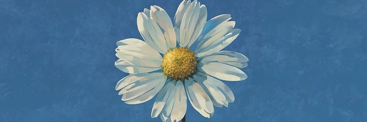 🍱🍗🍝🍣 banner