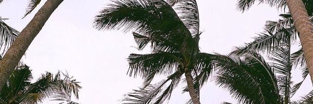dewagdadi's profile banner image