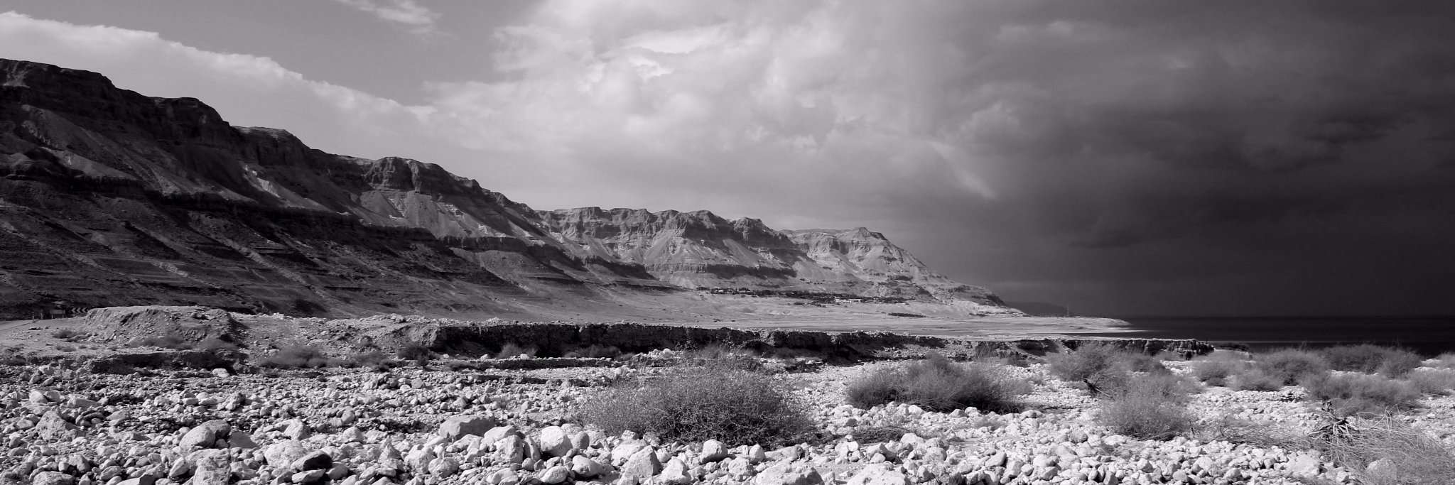 Katerina Michaelides banner