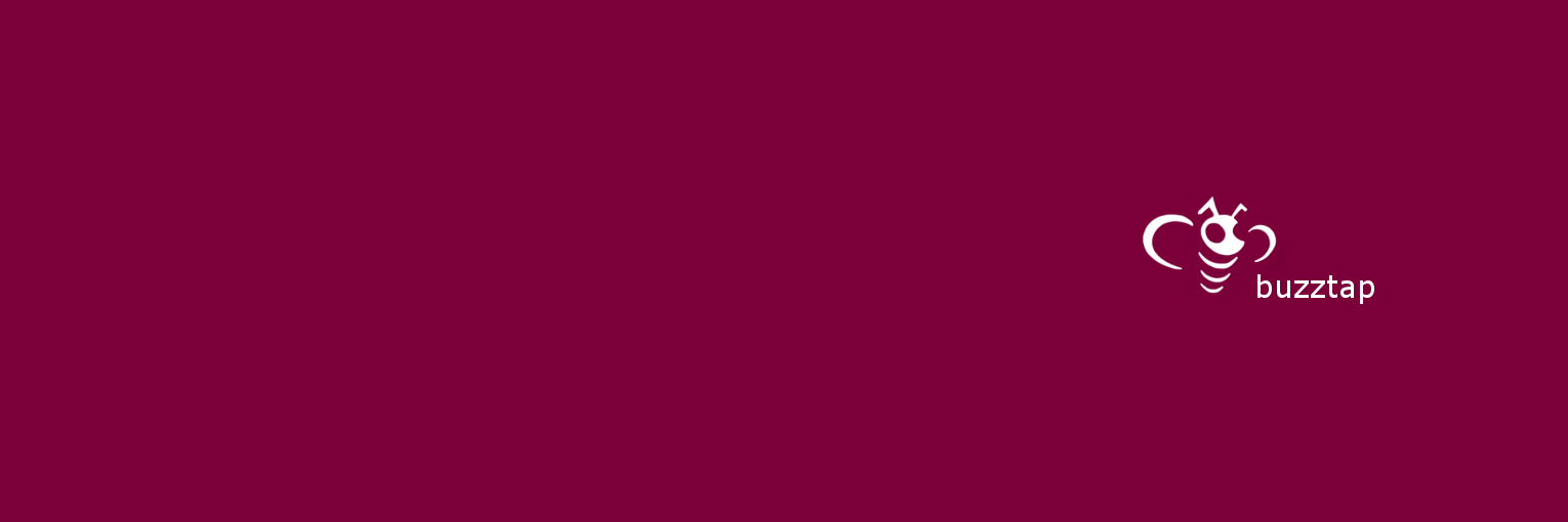 Aston Villa FC Buzz banner
