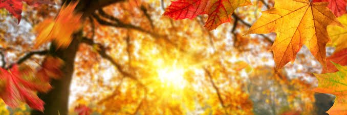 amanda23888's profile banner image