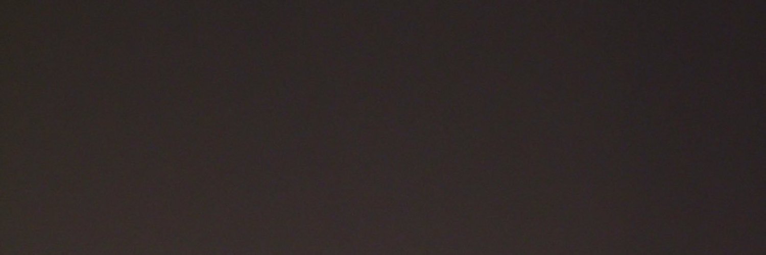 telahabiscinta's profile banner image