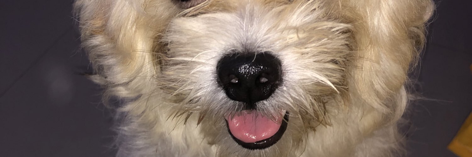 lykcpno's profile banner image