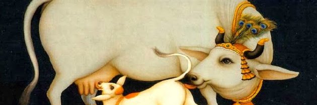 goushakti's profile banner image