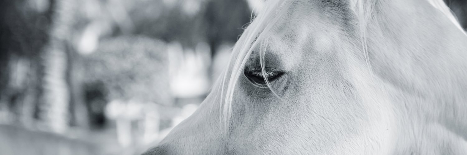 iftoo3's profile banner image