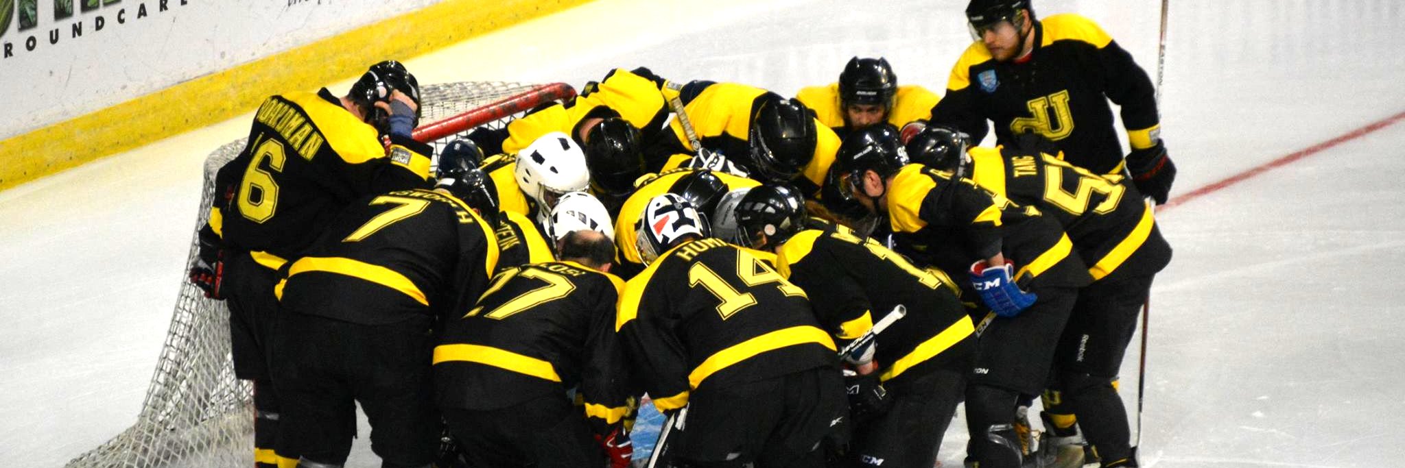 UoS Ice Hockey banner