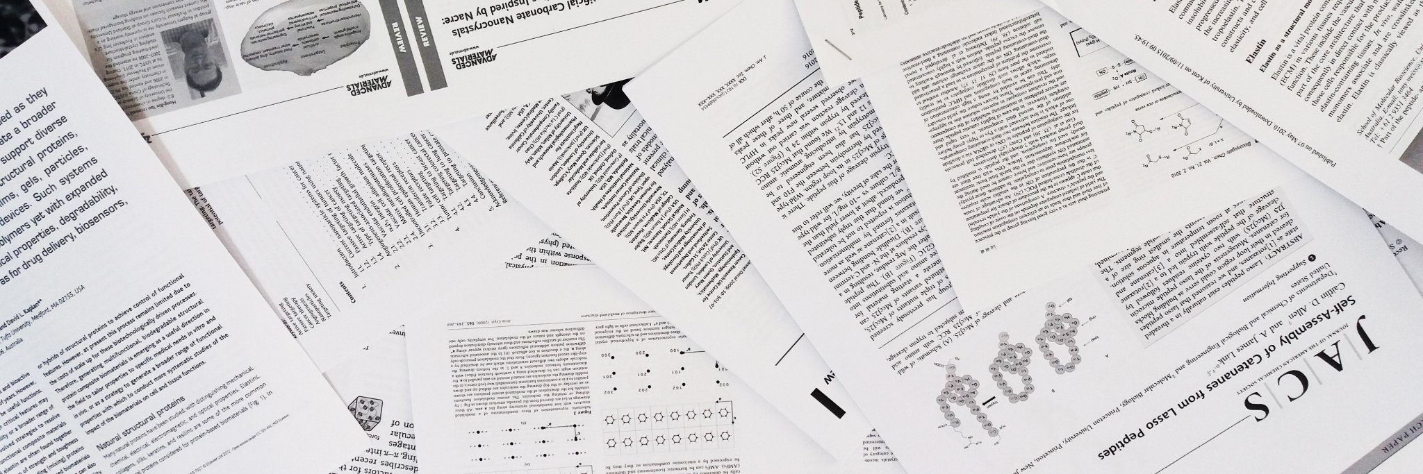 Serpell Lab Reads banner