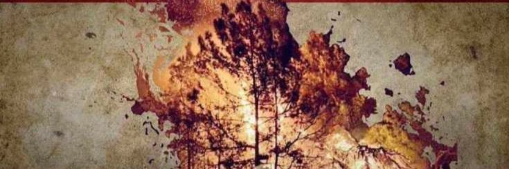 AzarFida's profile banner image