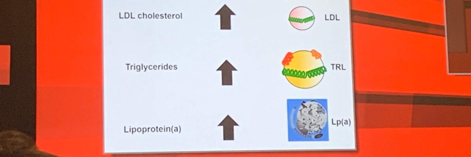 Gissette Reyes-Soffer. MD FAHA banner