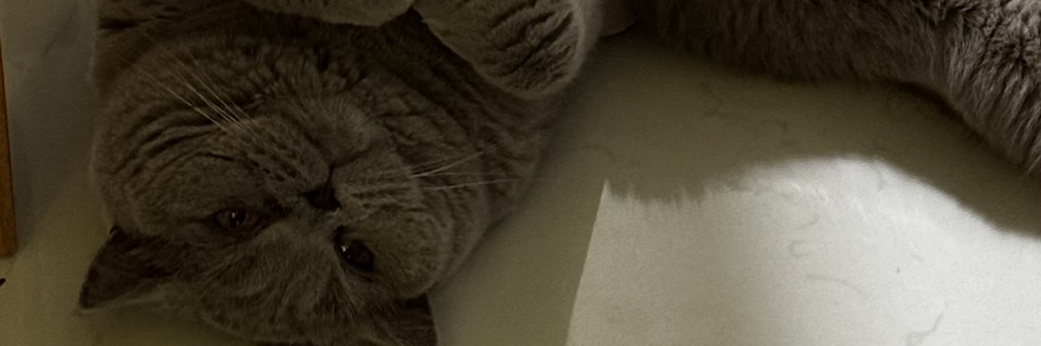 kit banner