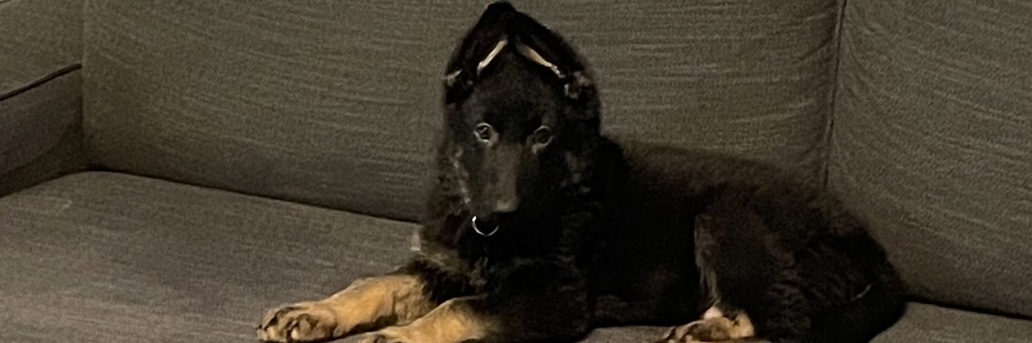 Dr Gemma Carr banner