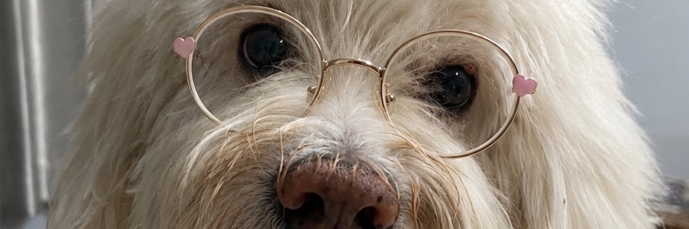 Ployofploy's profile banner image