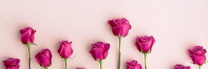 ClaudeaVeronica's profile banner image