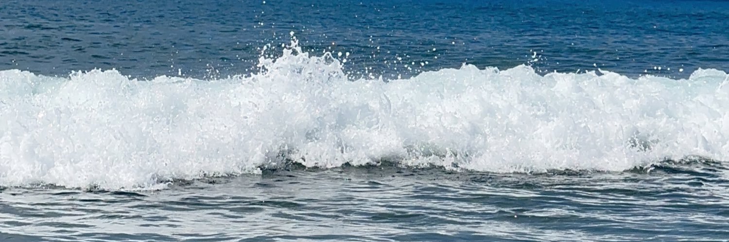 ozgeAkbdkk's profile banner image