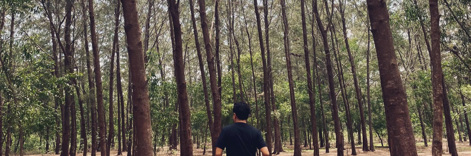 vintropiko's profile banner image