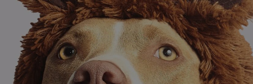 kneovl's profile banner image