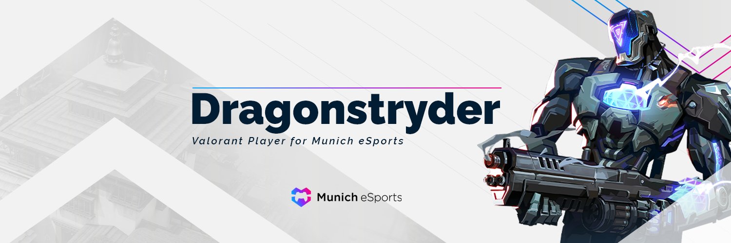 Dragonstryder banner