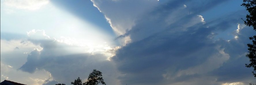 Stéphane Treize banner