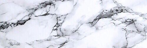 ElizabethV_bcds's profile banner image