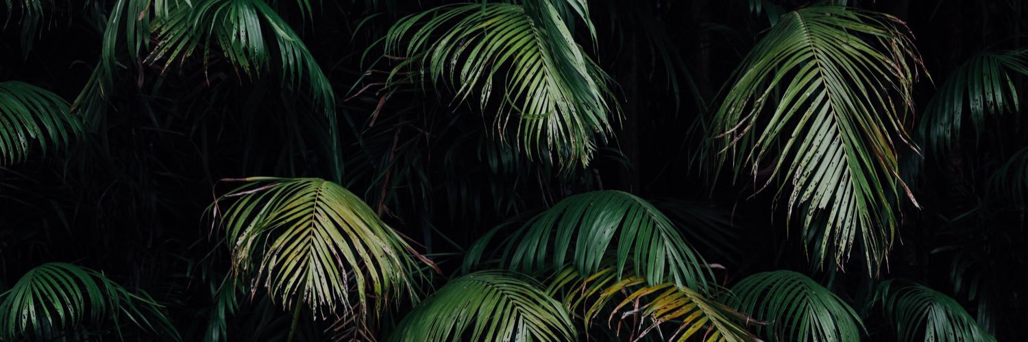 eudesignny's profile banner image