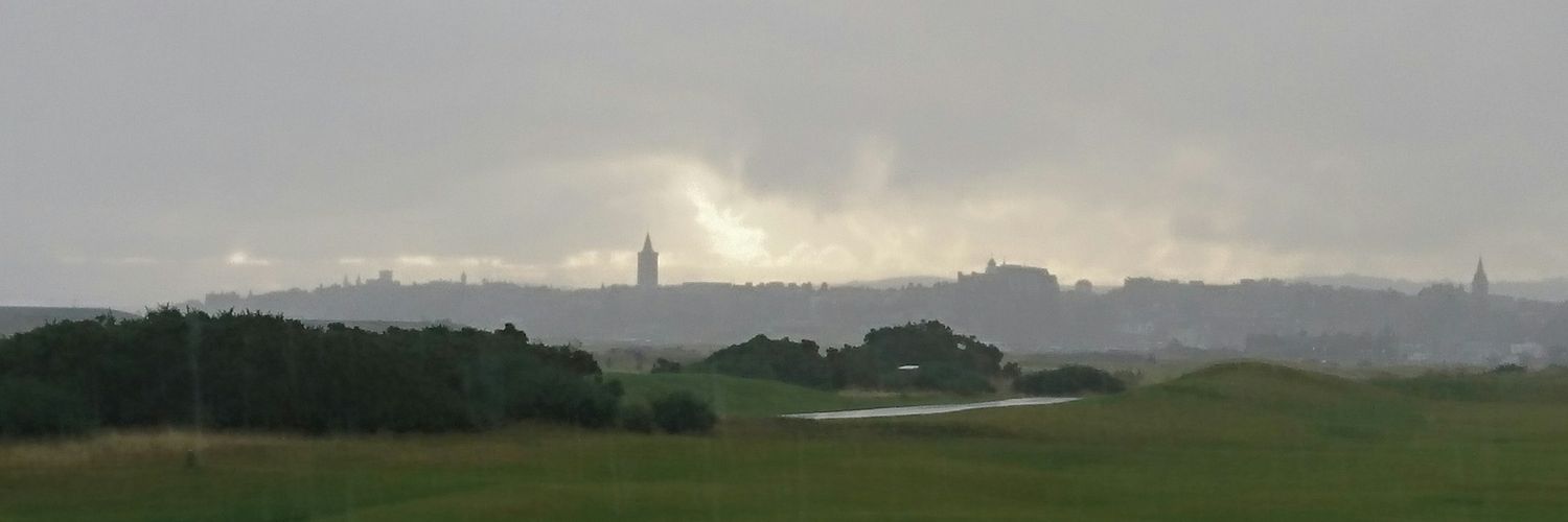 Lindsay Webster banner