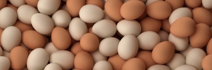 datspringchick's profile banner image