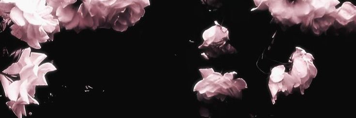SeCHAA... +♡ banner