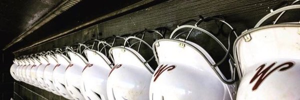mulesoftball Profile Banner