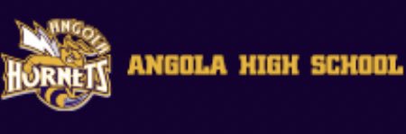 Angola Swimming banner