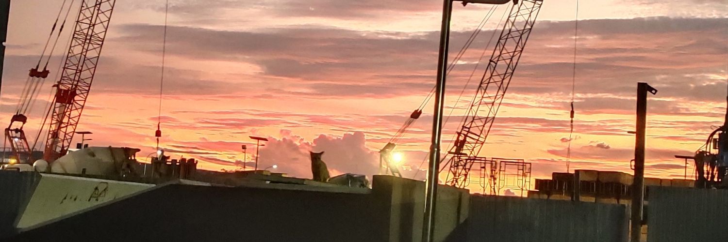xDanzl's profile banner image