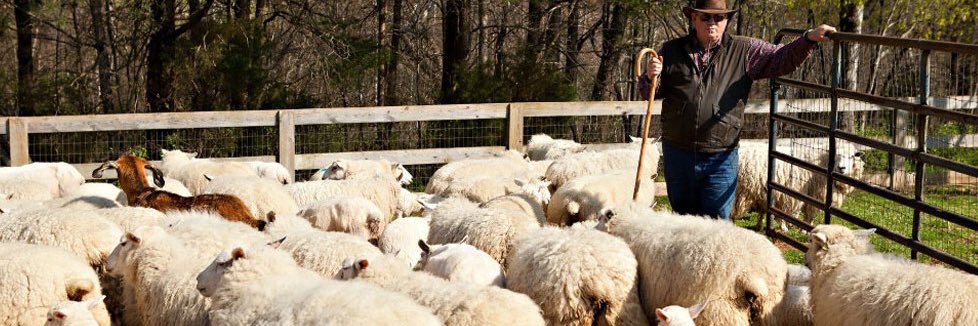 Faux Greg Carpenter banner