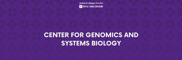 nyuadcgsb Profile Banner