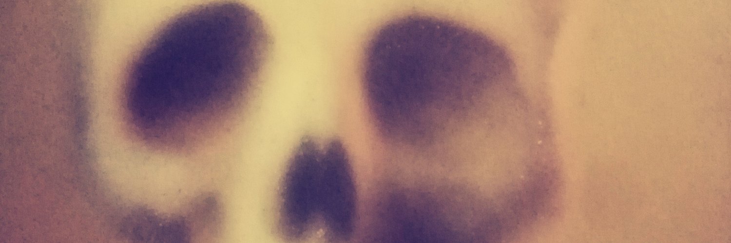 seimer's profile banner image