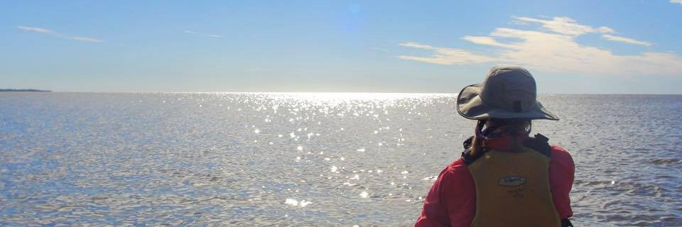 EkartTaylor's profile banner image