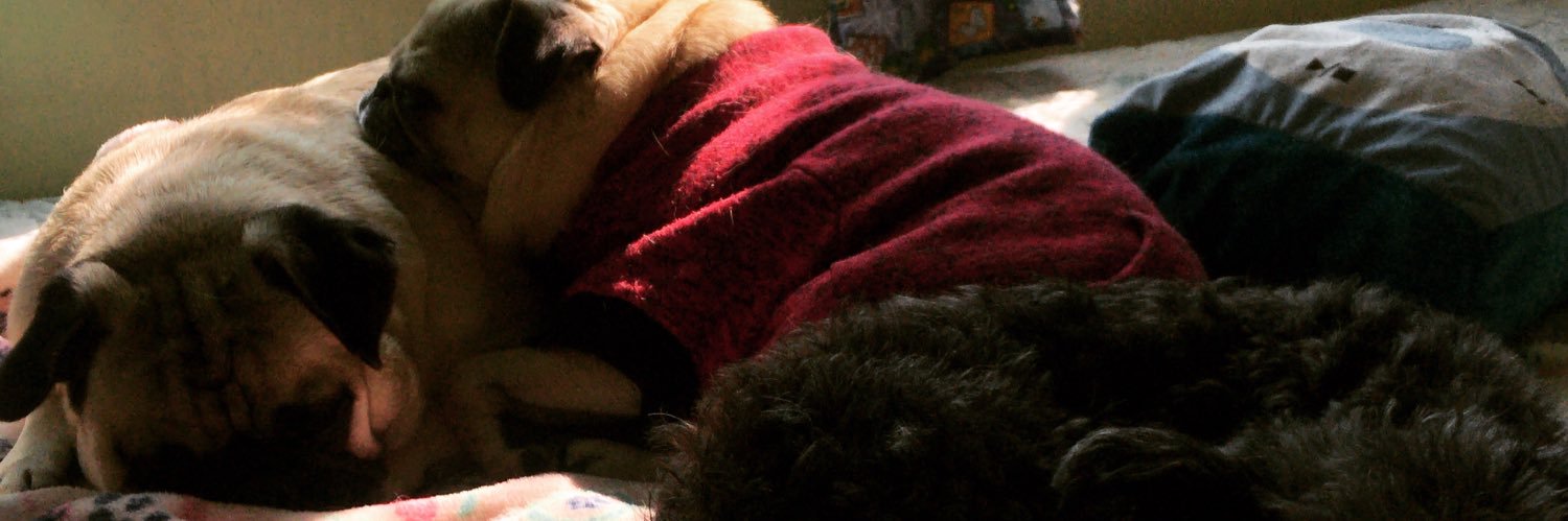 mimiaparicio's profile banner image