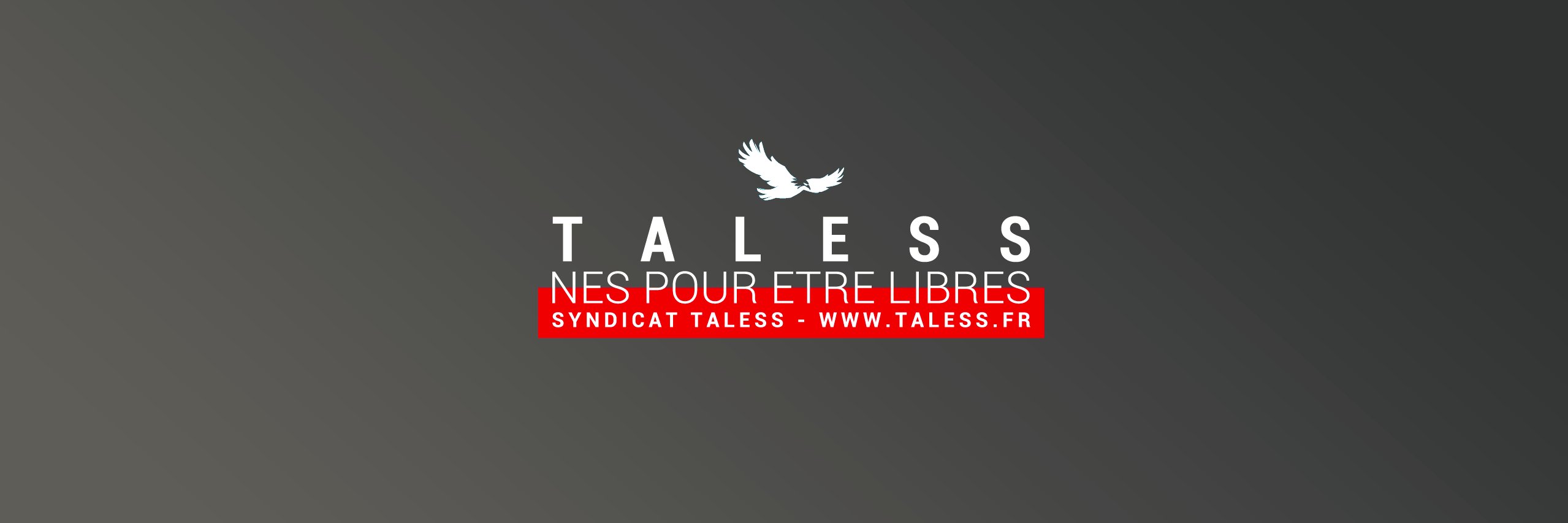 Syndicat_Taless's profile banner image
