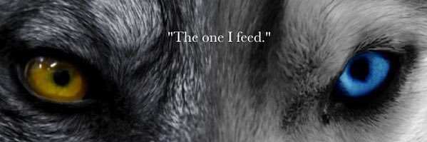 ZamNolasco's profile banner image