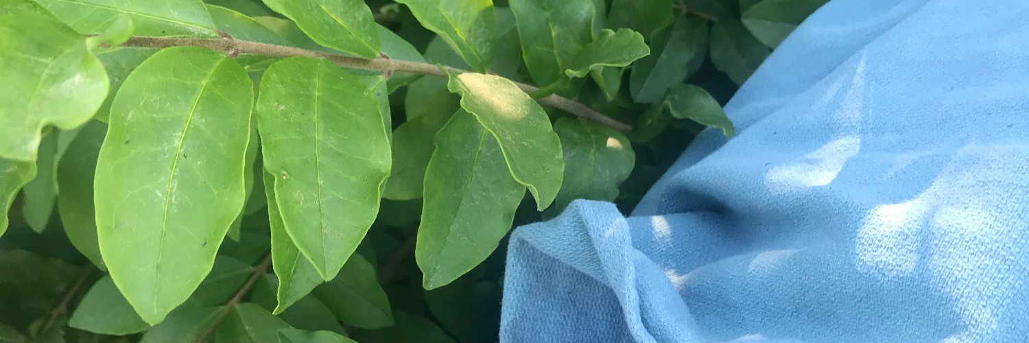 ActsofRevision.com banner