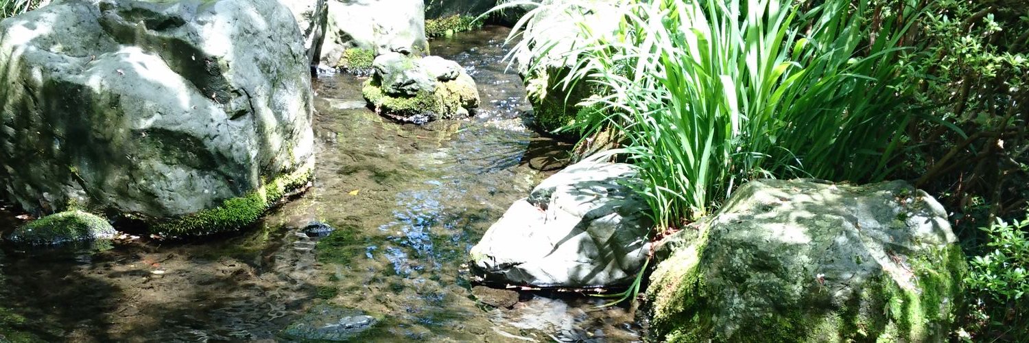 あゆゆん〇取引垢〇 banner