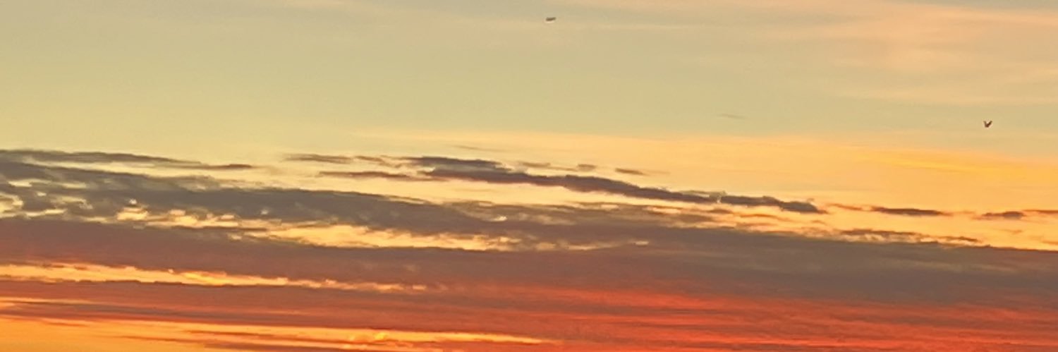 LoopyLucy49's profile banner image
