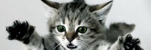 Silverie7's profile banner image