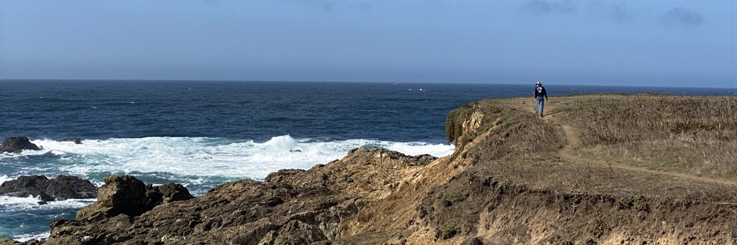 Carrie Dallman banner