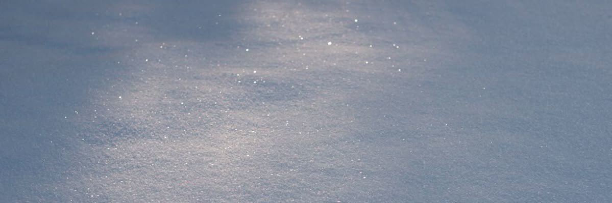 tummengu's profile banner image