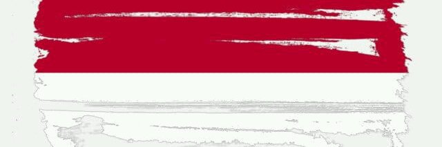 hafidwigunaaa's profile banner image