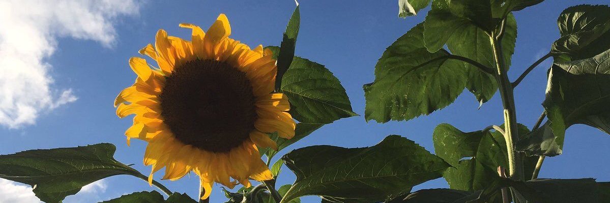Happii2bme's profile banner image