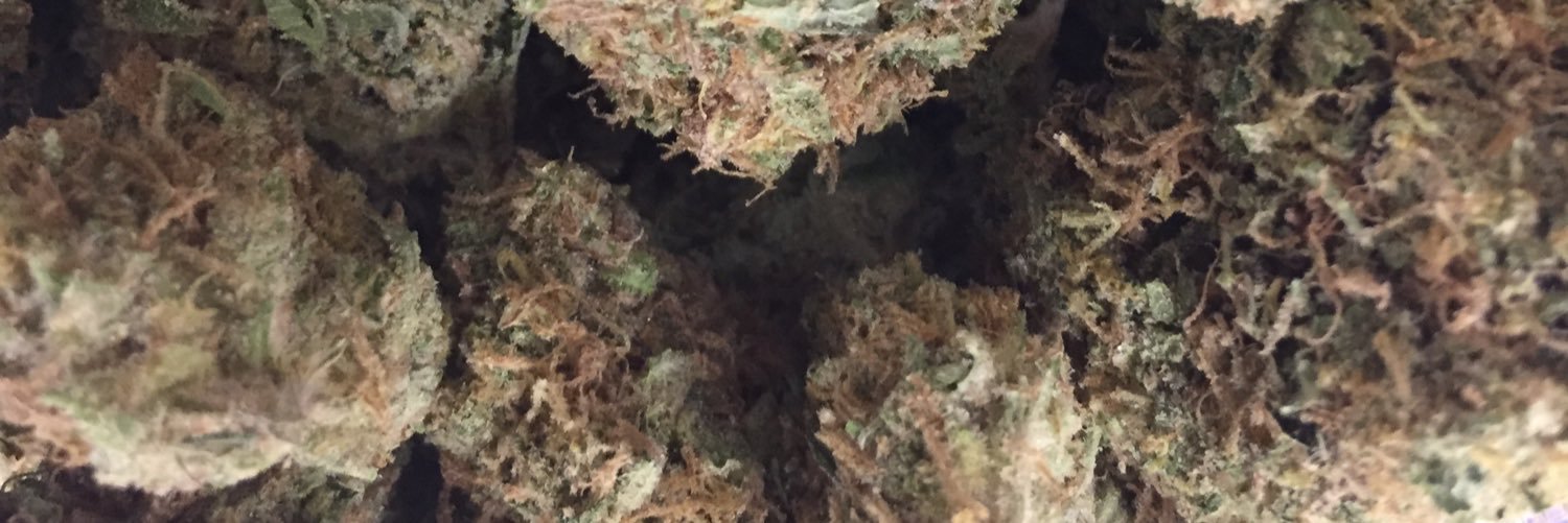 XXXZeeHaze's profile banner image