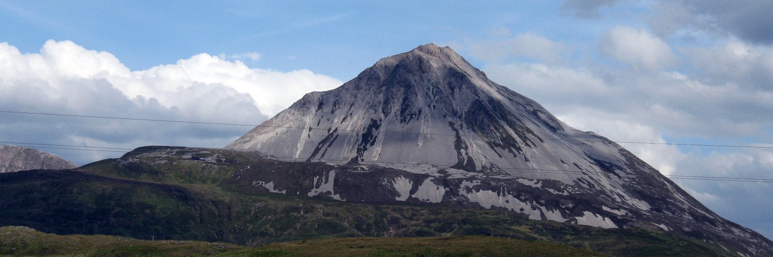 Stephen Collins banner
