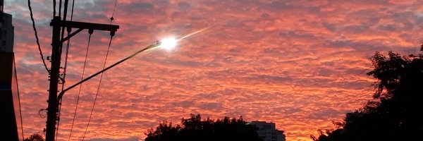 Daniewbier Profile Banner