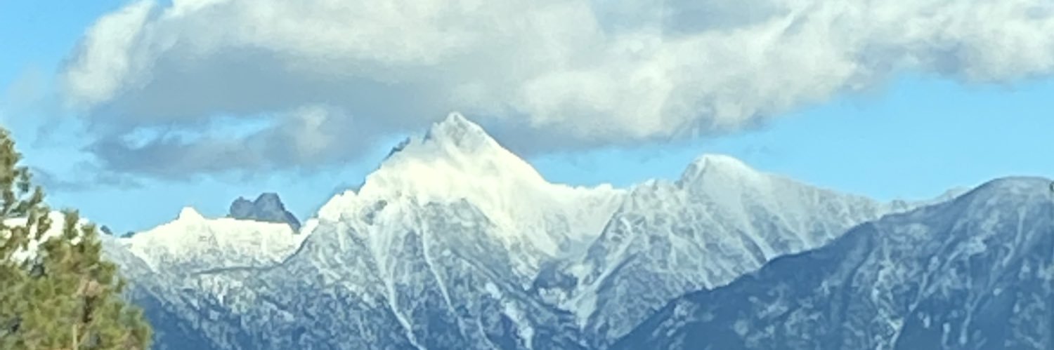 forthewuvofpete's profile banner image